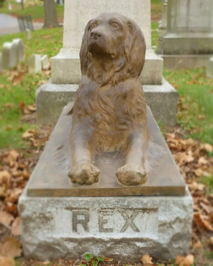 rex