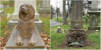 Sadık Dosta Duygusal Veda: 100 Yıl Önce Hayatını Kaybeden Rex İsimli Köpeğin Anıt Şeklindeki Mezarı