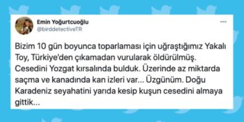 Av Değil Cinayet! 7 Yıl Sonra Görülen Yakalı Toy Kuşunun Avcılar Tarafından Öldürülmesi Sosyal Medyanın Gündeminde