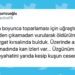 Av Değil Cinayet! 7 Yıl Sonra Görülen Yakalı Toy Kuşunun Avcılar Tarafından Öldürülmesi Sosyal Medyanın Gündeminde