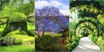 Doğanın Eşsiz Renklerini İçerisinde Bulunduran Dünyanın En Güzel 9 Botanik Parkı