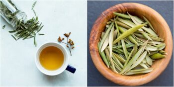 Bağışıklığınızı Güçlendirin! Zeytin Yaprağı Çayı Nedir, Faydaları Nelerdir?