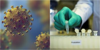 Corona Virüsü Mutasyonu: Pek Çok Ülkede Görülen Yeni Corona Virüsü Türü Hakkında Neler Biliniyor?