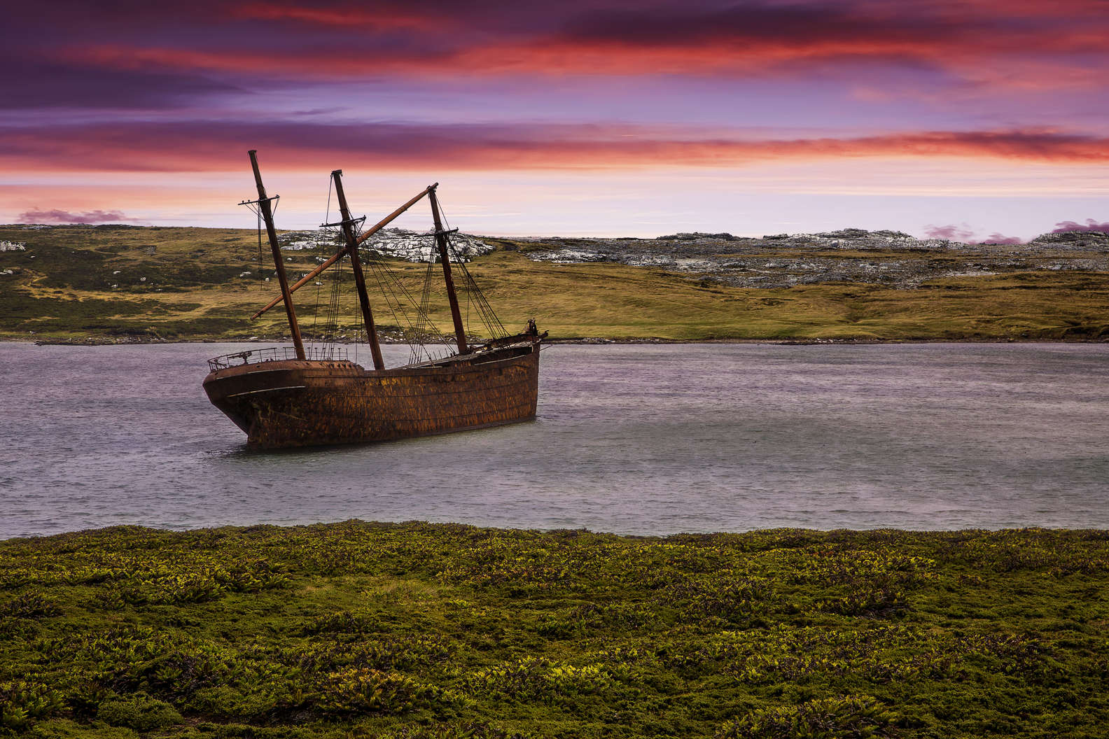 Falkland Adaları (Malvinas Adaları)