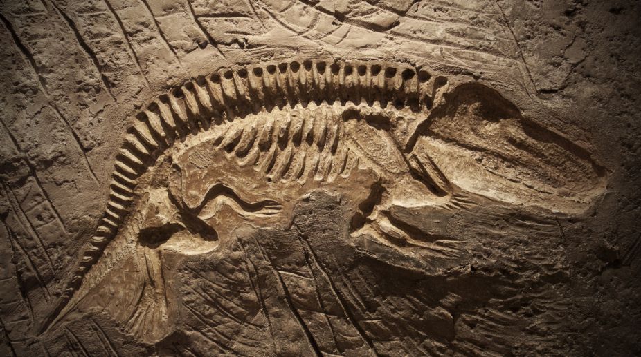 İlk fosil