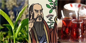 Her Anımızın Vazgeçilmez İçeceği Çay Hakkında 42 Gerçek