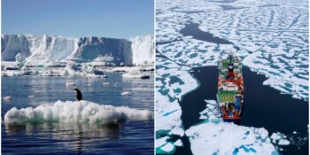 Bilmekte Fayda Var! Kuzey Kutbu İle İlgili Daha Önce Hiç Duymadığınız 11 İlginç Bilgi