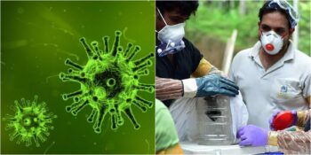 Bilim İnsanlarının “Her An Salgına Neden Olabilir” Dediği Nipah Virüsü Nedir?