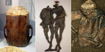 Bataklıklarda bulunan ilginç şeyler