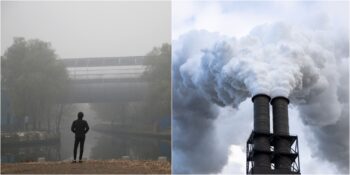 Fosil Yakıtlar Sadece Bir Yılda 8.7 Milyon Canlının Ölümüne Neden Oldu