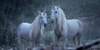 Efsanelerden Tarihi Hikayelere: Tek Boynuzlu Atlar Hakkında 10 İlginç Gerçek