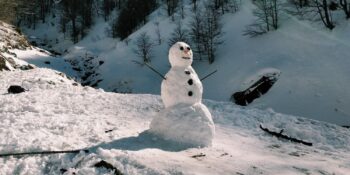 Kardan Adamların Burunları Neden Havuçtan Yapılır?