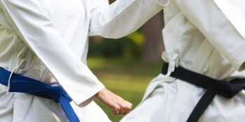 Hapkido: Her Hecesi Ayrı Bir Anlam Taşıyan Dövüş ve Savunma Sanatı