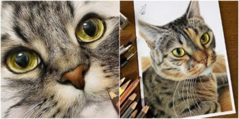 Adeta Gerçek Gibi! Realistik Kedi Çizimleriyle Herkesi Büyüleyen Haruki Kudo