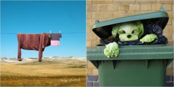 Günlük Eşyaları Sevimli Karakterlere Dönüştüren Sanatçı Helga Stentzel ve Birbirinden Eğlenceli Çalışmaları