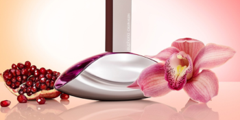Calvin Klein – Euphoria Parfüm İncelemesi ve Kullanıcı Yorumları