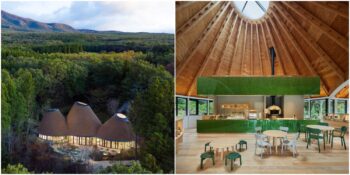 The PokoPoko Clubhouse: Japonya’nın Büyüleyici Ormanlarında Bir Peri Yuvası