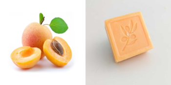 Yüz, Vücut ve Saç Bakımında Mucizevi Bir Etki Yaratan Kayısı Sabununun Faydaları