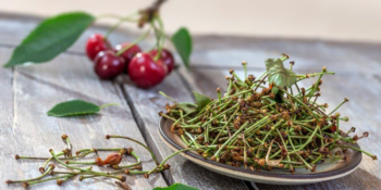 Faydaları Saymakla Bitmeyen Kiraz Sapı Çayı Ve En İyi Kiraz Sapı Çayları