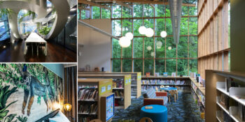 Doğanın Büyülü Dokusunu Evinize Taşıyın! Biyofilik Tasarım Nedir, Nasıl Uygulanır?