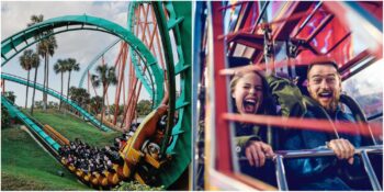 Sözlü Olmayan Bir İletişim Yöntemi: Eğlenirken Neden Çığlık Atarız?