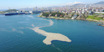 Marmara Denizi’nde Renk Değişimi: Deniz Salyası İstilası Artarak Devam Ediyor