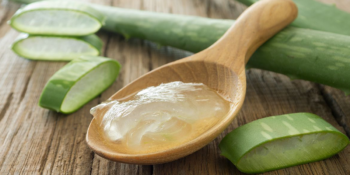 Cildiniz Neme Doysun: Cilt Dostu En İyi Aloe Vera Jelleri