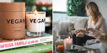 Vegan Evi: Vegan Dostu Bir Eve Sahip Olmak İçin Bilmeniz Gerekenler