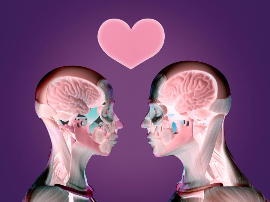 duyusal beyin motor beyin öpüşme 