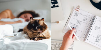 Üretken Bir Yaşam: İlham Dolu ve Enerjik Bir Yaşam İçin Mutlaka Bilmeniz Gerekenler