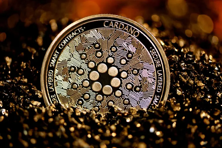 Çok yükselen coinler