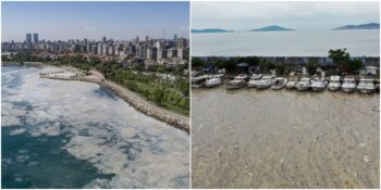 Deniz Salyası Sorunu: Eylem Planı Kapsamında Hangi Adımlar Atılacak, Uzmanlar Ne Düşünüyor?