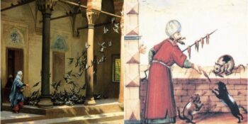 Hayvan Hakları Tarihi: Osmanlı Toplumunun Tüm Dünyayı Kendisine Hayran Bırakan Hayvan Sevgisi