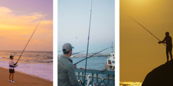 Balıkçılığa Yeni Başlayacaklar İçin En İyi Olta Seti Modelleri