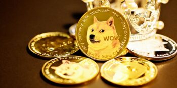 Dogecoin Nasıl ve Nereden Alınır? Bilmeniz Gereken Noktalar Neler?