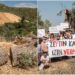 Asırlık Zeytin Ağaçlarının Yaşam Mücadelesi: Mahkeme Kararına Rağmen Ağaç Katliamı Devam Ediyor
