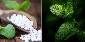 Stevia: Şeker Yerine Daha Sağlıklı Bir Alternatif Arayanlara Bitkisel Çözüm