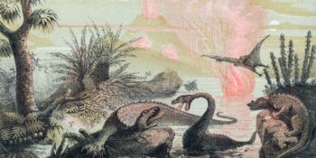 Hepsi Birbirinden Ürkütücü! Tarih Öncesi Dönemde Yaşayan 4 Yaratık