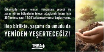 “Yaşamı Da Umudu Da Yeniden Yeşerteceğiz”: TEMA Vakfı Ağaçlandırma Kampanyası Hakkında Bilmeniz Gerekenler