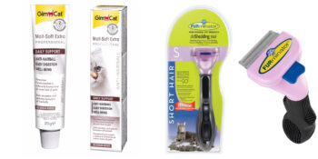 Mutlu ve Sağlıklı Kediler İçin En İyi Kedi Bakım Ürünleri