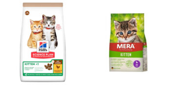 Kedilerin Tercihi: Kısırlaştırılmayan Kediler İçin En İyi Kedi Mamaları