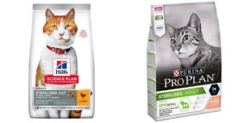 Lezzetli Ve Sağlıklı: Kısır Olan Kediler İçin En İyi Mamalar