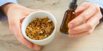 Propolis İle İlgili Her Şey Ve En İyi Propolis Takviyeleri