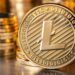 Litecoin (LTC) Nasıl ve Nereden Alınır? LTC Alırken Bilmeniz Gerekenler