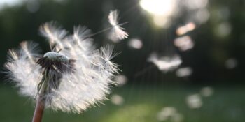 Bilim Açıklıyor: Şanslı Hissetmek Ruh Sağlığınızı Nasıl Etkiliyor?