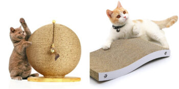 Yıpranan Koltuklara Son: En İyi Kedi Tırmalama Ürünleri