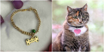 Tüylü Dostunuza Özel: En Güzel Kedi Künyeleri