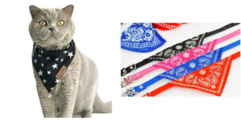 Havalı Kedilerin İhtiyacı: En İyi Kedi Bandanaları