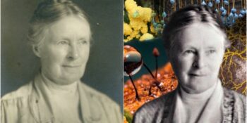 Gulielma Lister: Botanik ve Mikoloji Çalışmalarıyla Bilim Dünyasına Damga Vuran Kadın