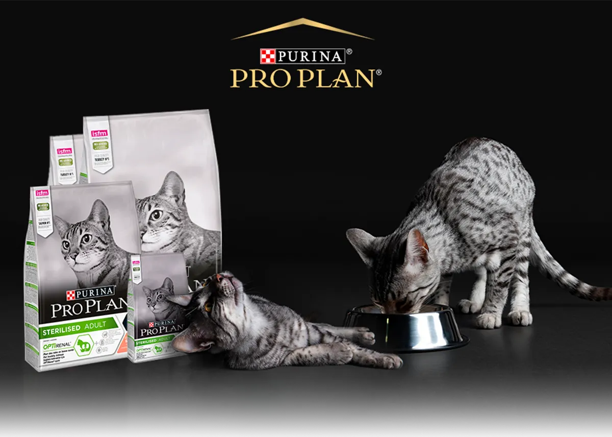 en iyi kedi mamaları